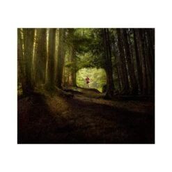 Garmin InReach® Mini 2 -WasserSportProfi inreach mini 26